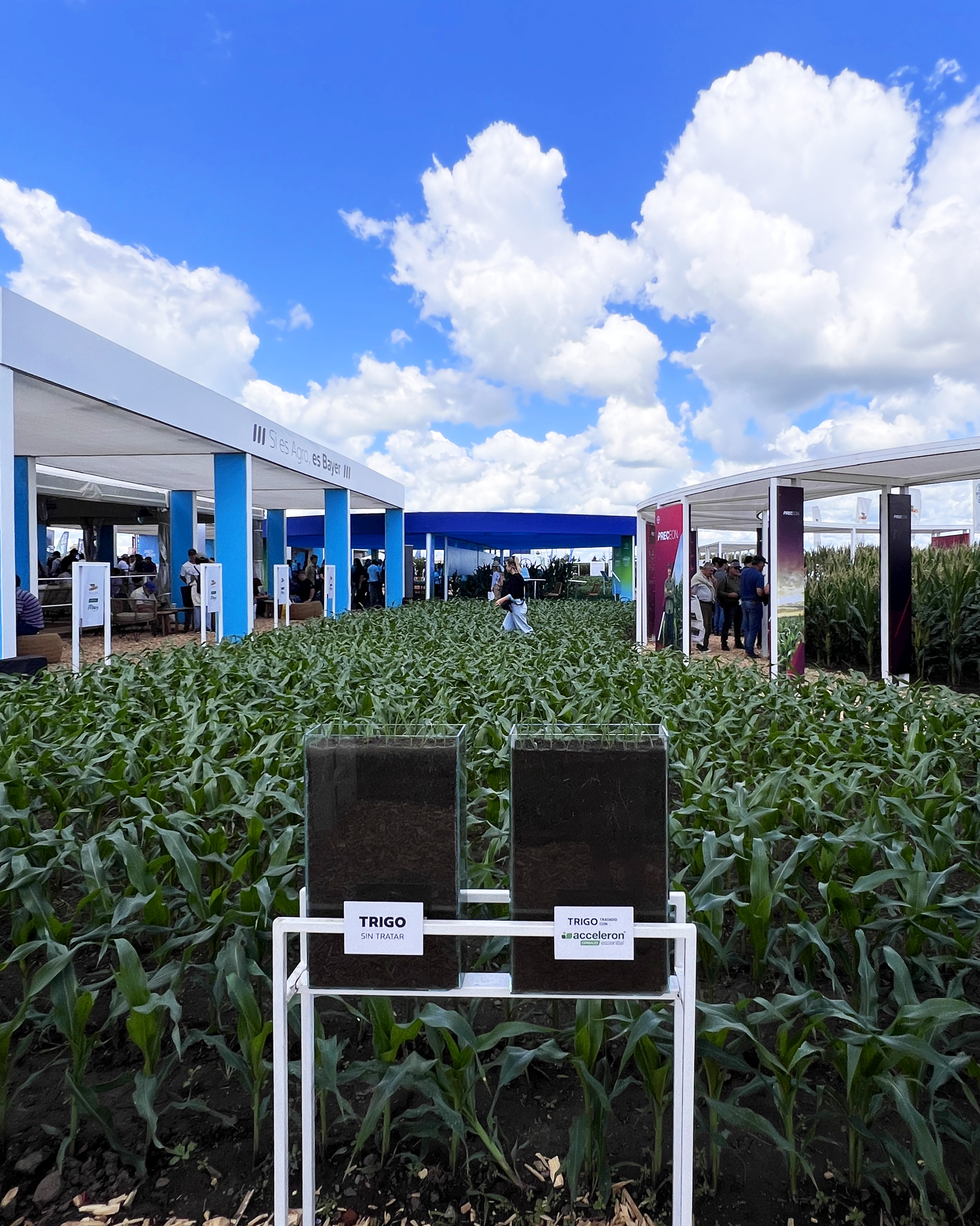 Bayer, Expoagro, 2025