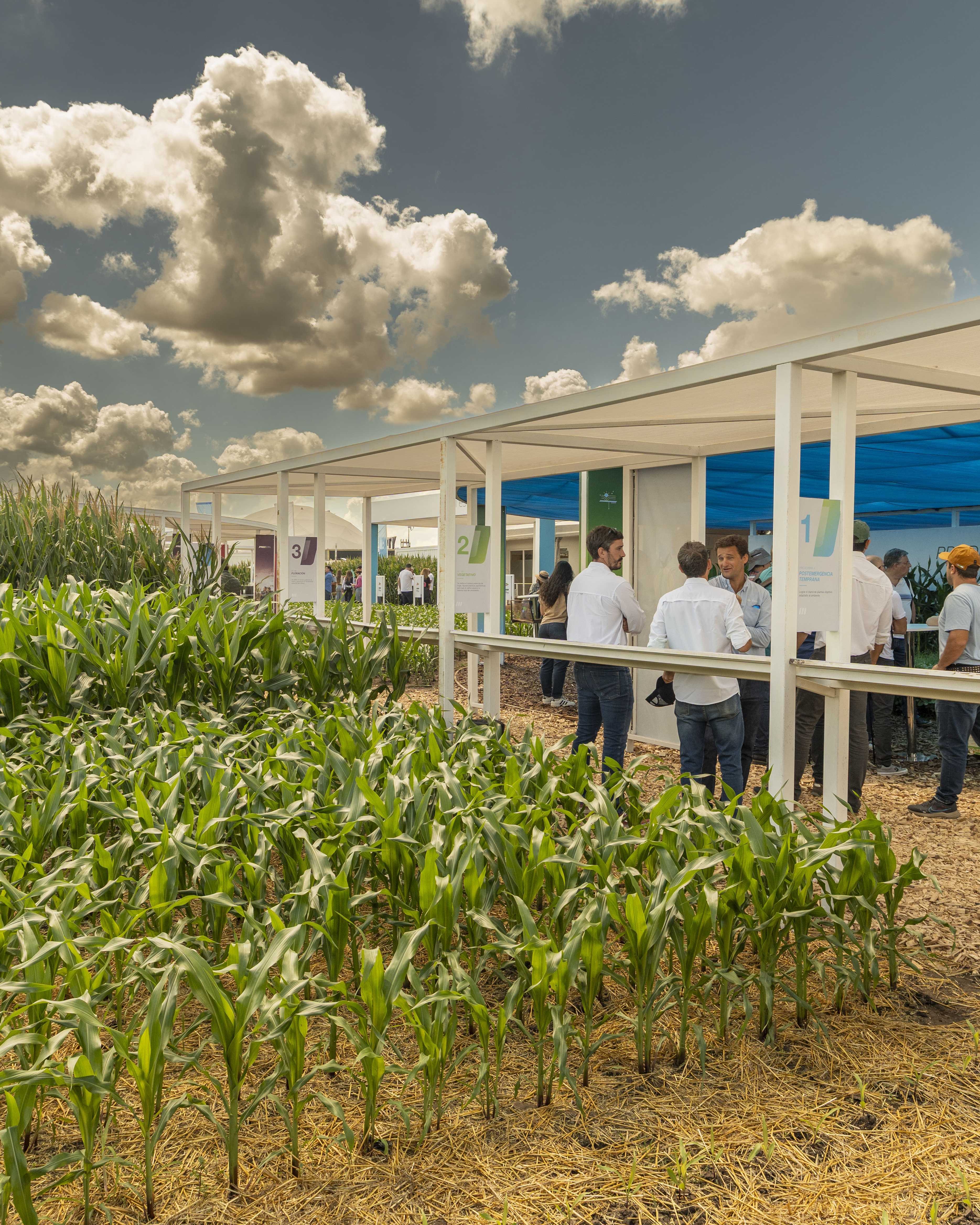 Bayer, Expoagro, 2025
